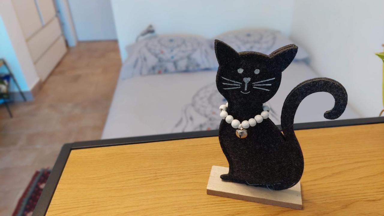 Pri Piratski Macki - At The Pirate Cat - Dal Gatto Pirata Koper Ngoại thất bức ảnh